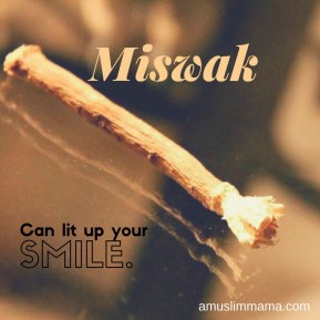 Miswak